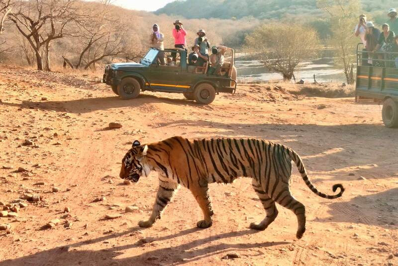 best time to visit in ranthambore