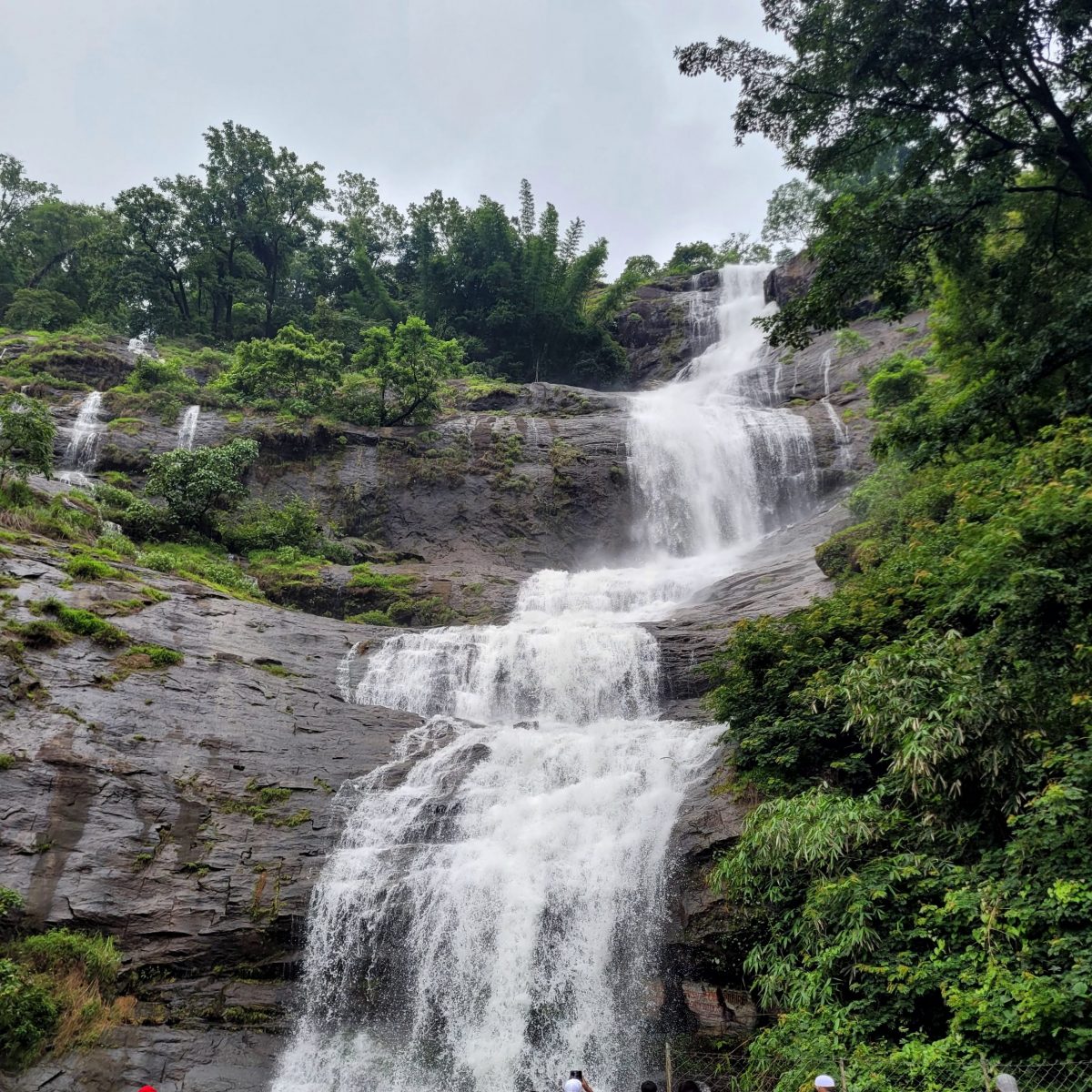 cheeyappara waterfalls scaled 1200x1200 cropped