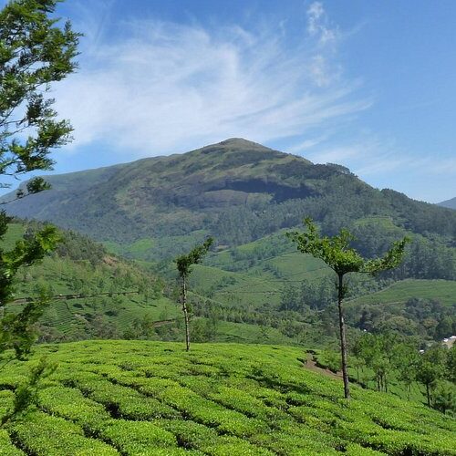 anamudi peak