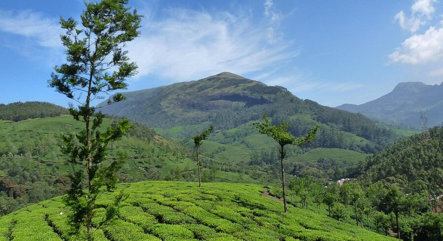 anamudi peak